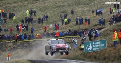 Sebastien Loeb